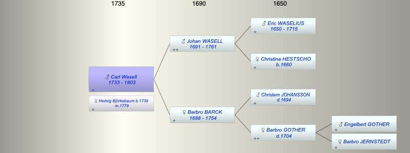 Carl Magnus Wasell