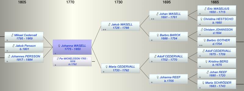 Johanna Elisabet WASELL